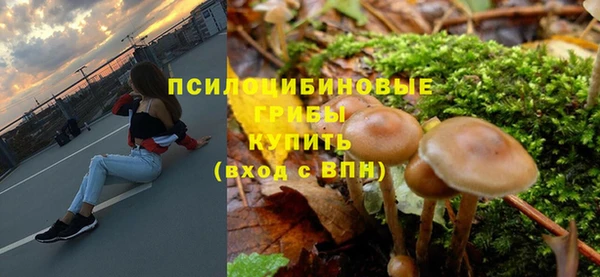 СК Белокуриха